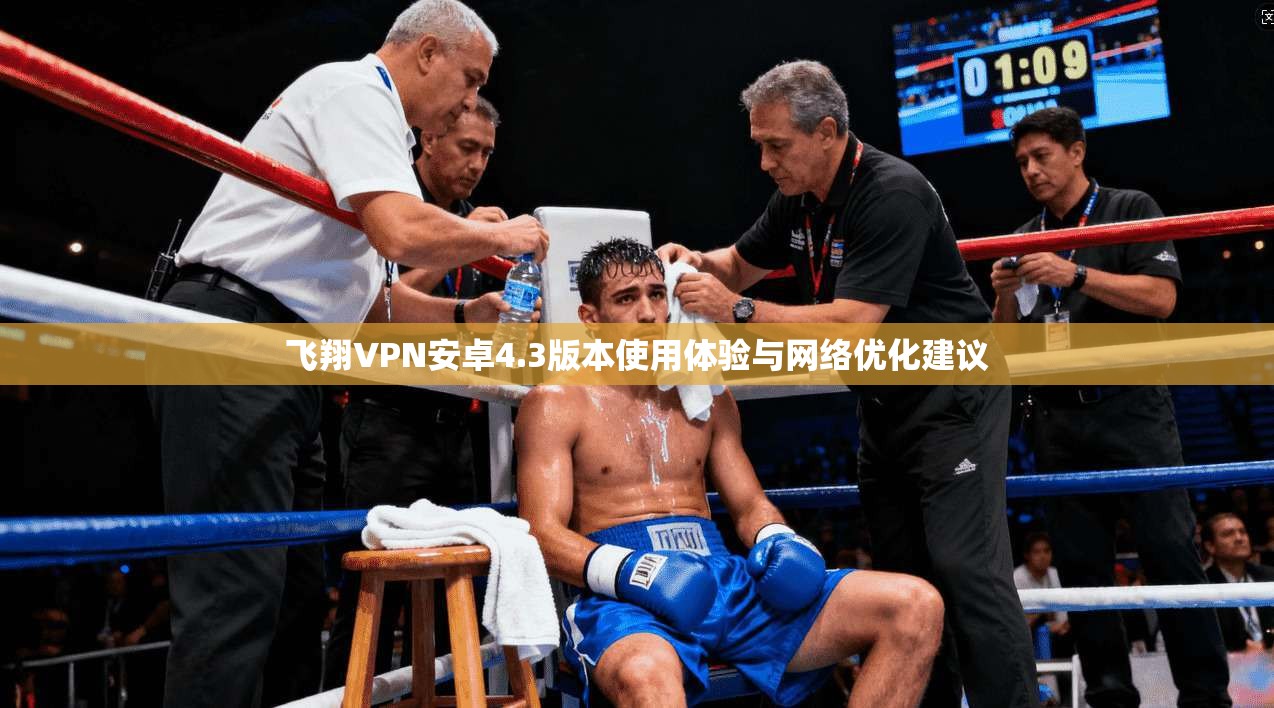 飞翔VPN安卓4.3版本使用体验与网络优化建议