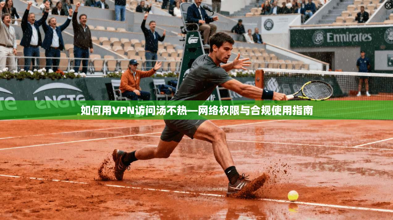 如何用VPN访问汤不热—网络权限与合规使用指南
