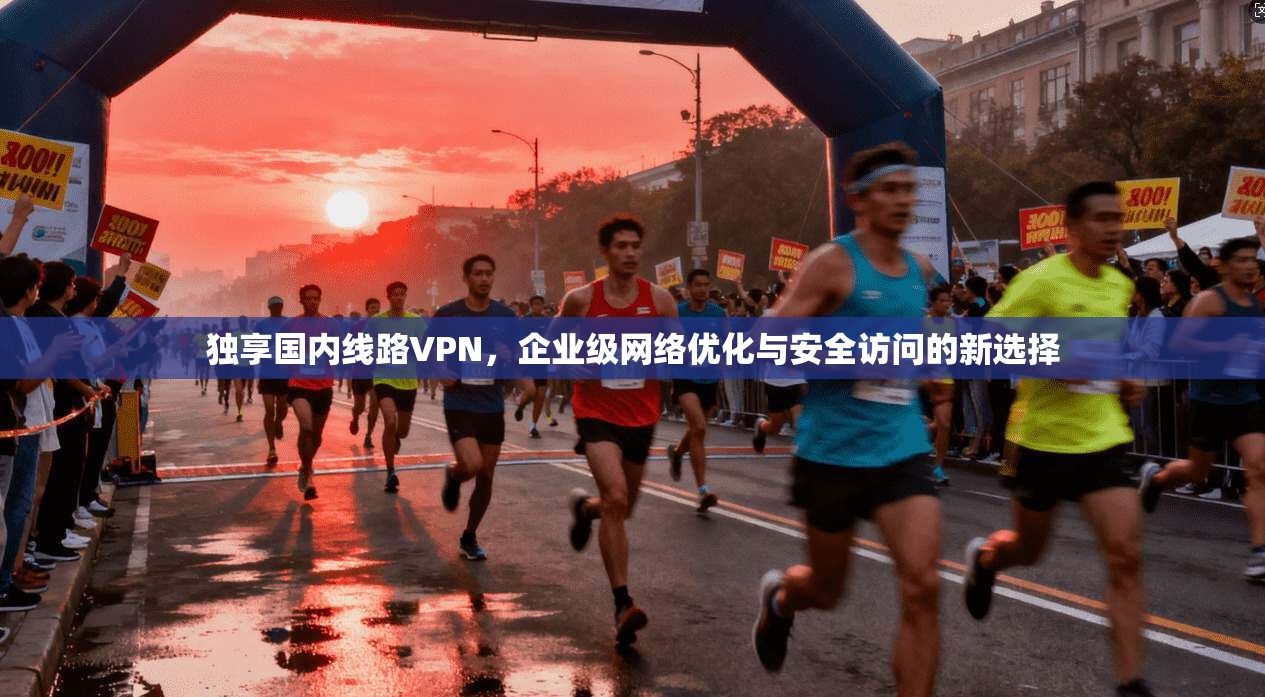 独享国内线路VPN，企业级网络优化与安全访问的新选择