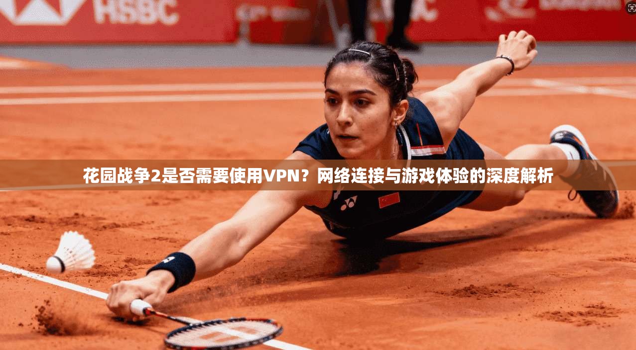 花园战争2是否需要使用VPN?网络连接与游戏体验的深度解析