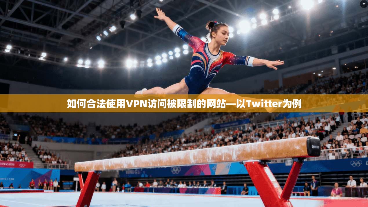 如何合法使用VPN访问被限制的网站—以Twitter为例