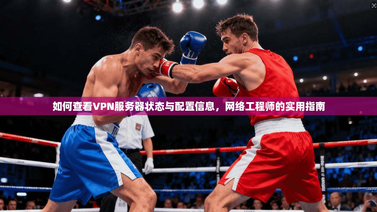 如何查看VPN服务器状态与配置信息,网络工程师的实用指南