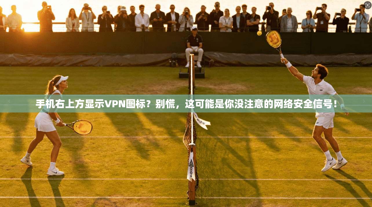 手机右上方显示VPN图标？别慌，这可能是你没注意的网络安全信号！