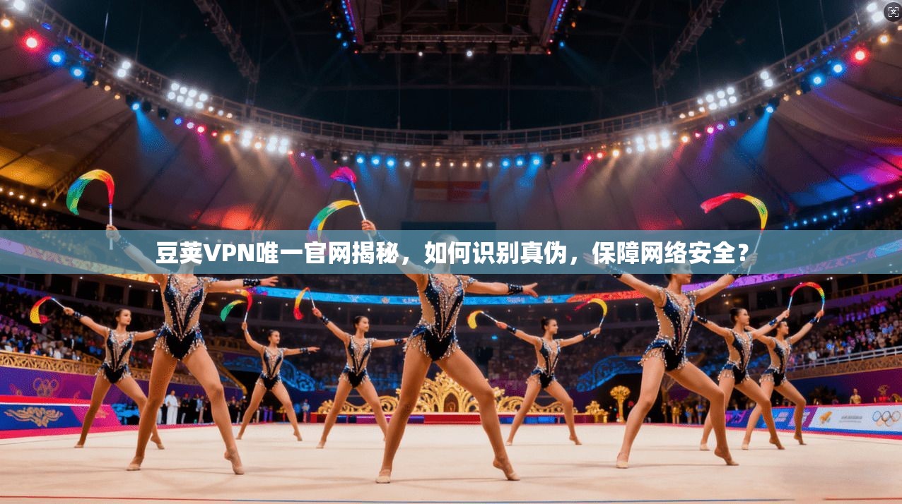 豆荚VPN唯一官网揭秘，如何识别真伪，保障网络安全？