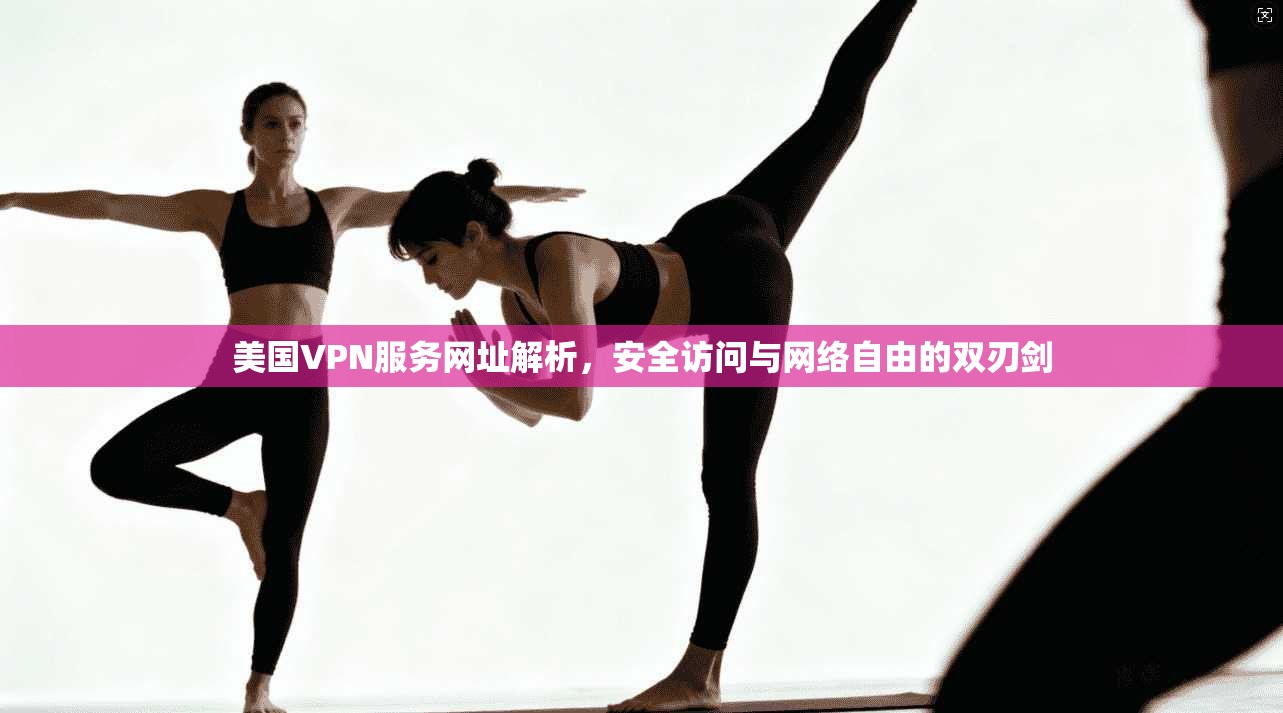 美国VPN服务网址解析,安全访问与网络自由的双刃剑