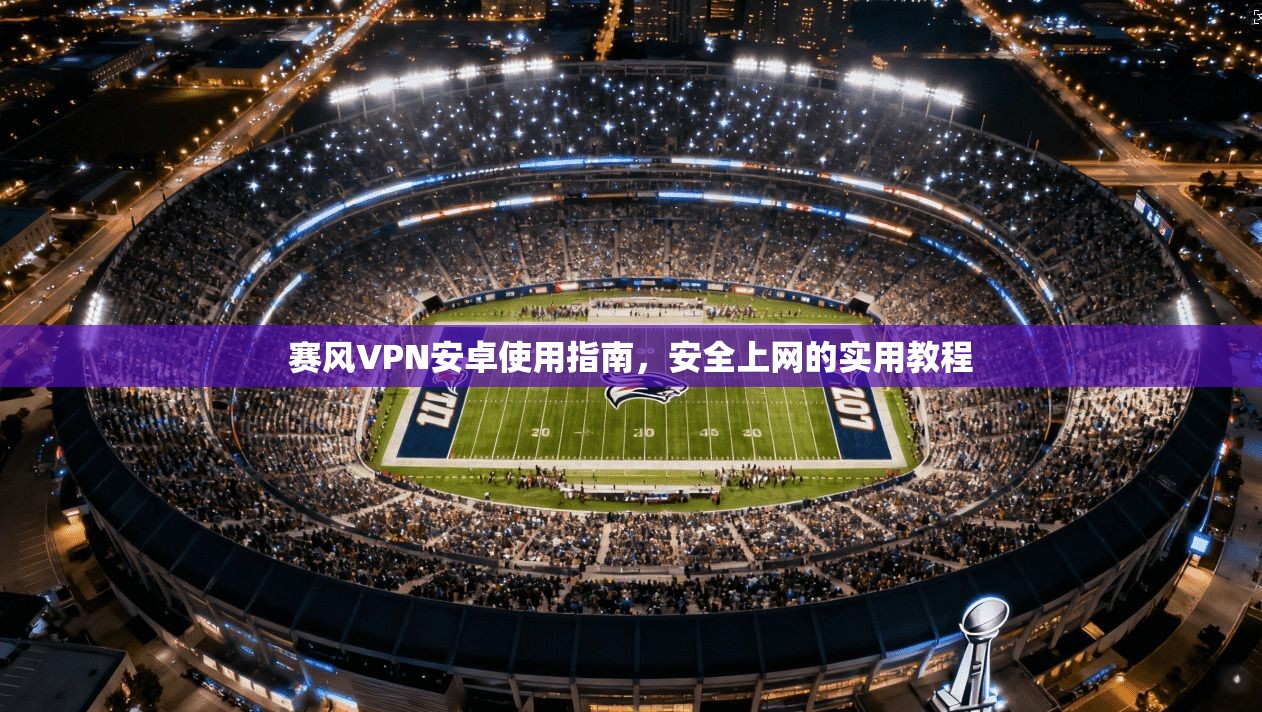 赛风VPN安卓使用指南，安全上网的实用教程
