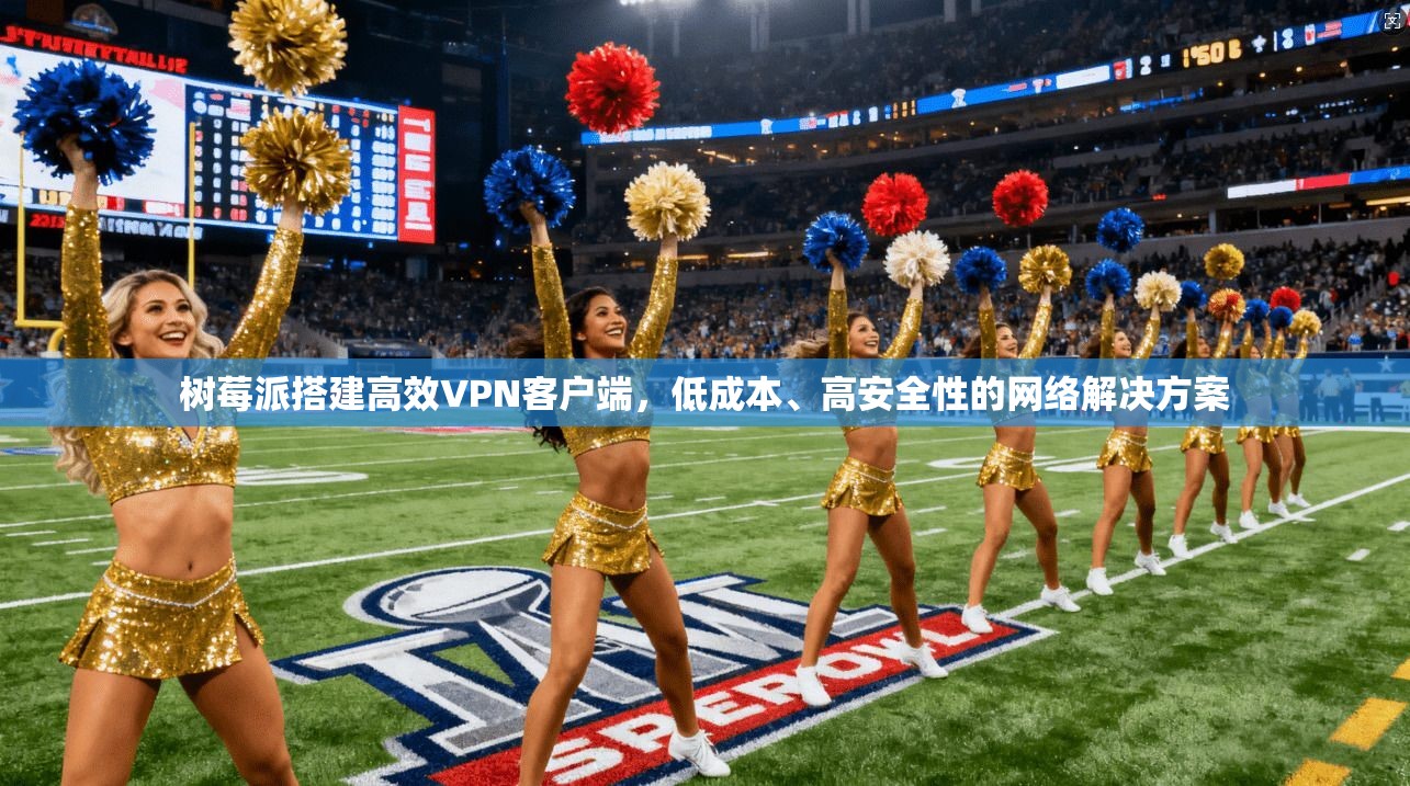 树莓派搭建高效VPN客户端,低成本、高安全性的网络解决方案