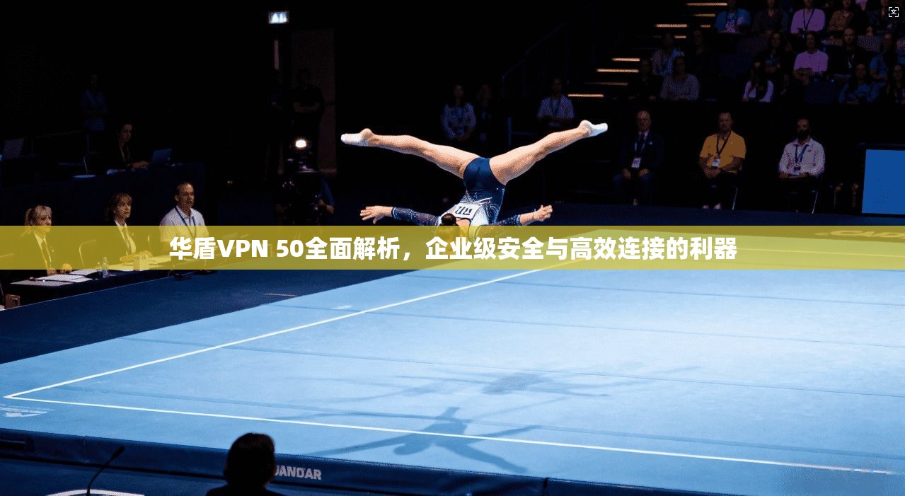 华盾VPN 50全面解析，企业级安全与高效连接的利器