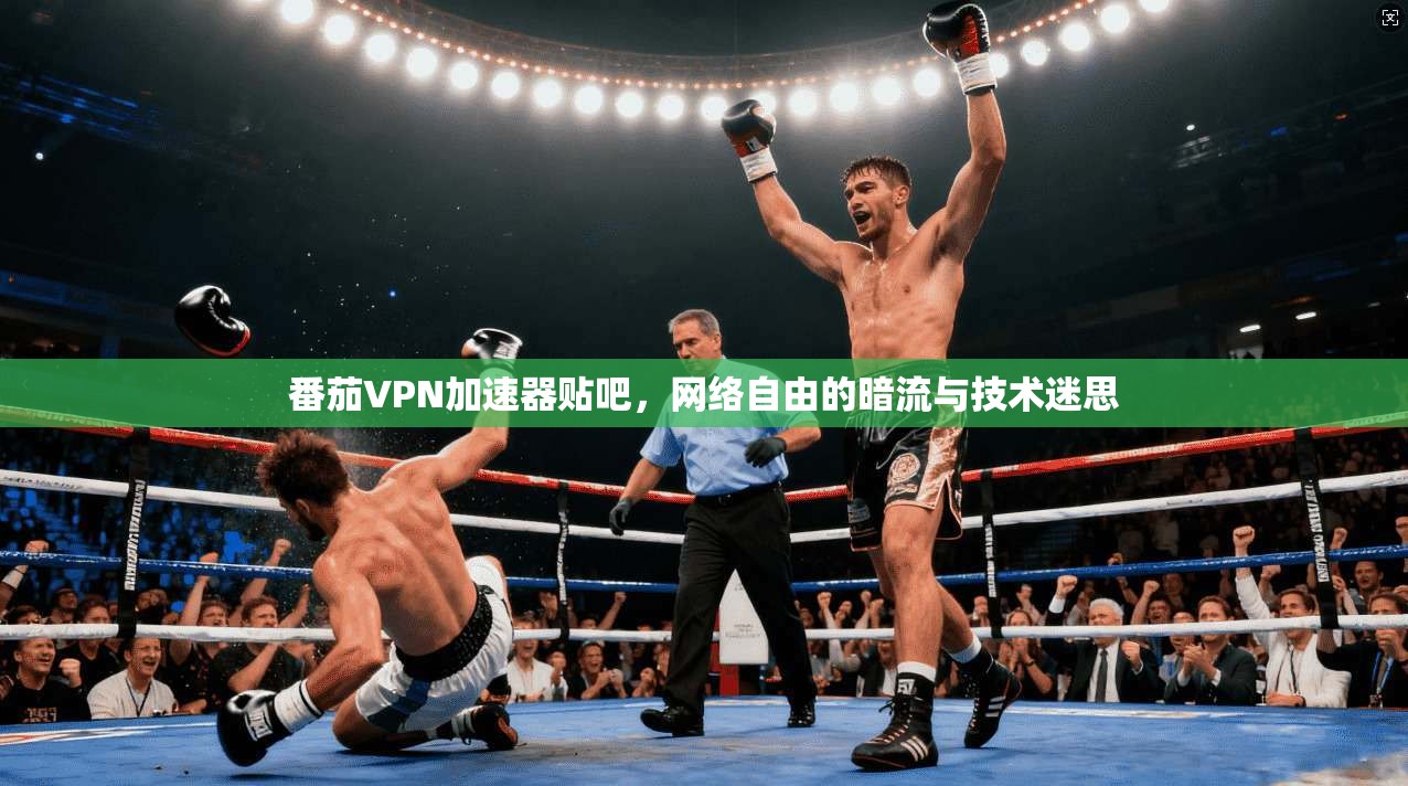 番茄VPN加速器贴吧,网络自由的暗流与技术迷思