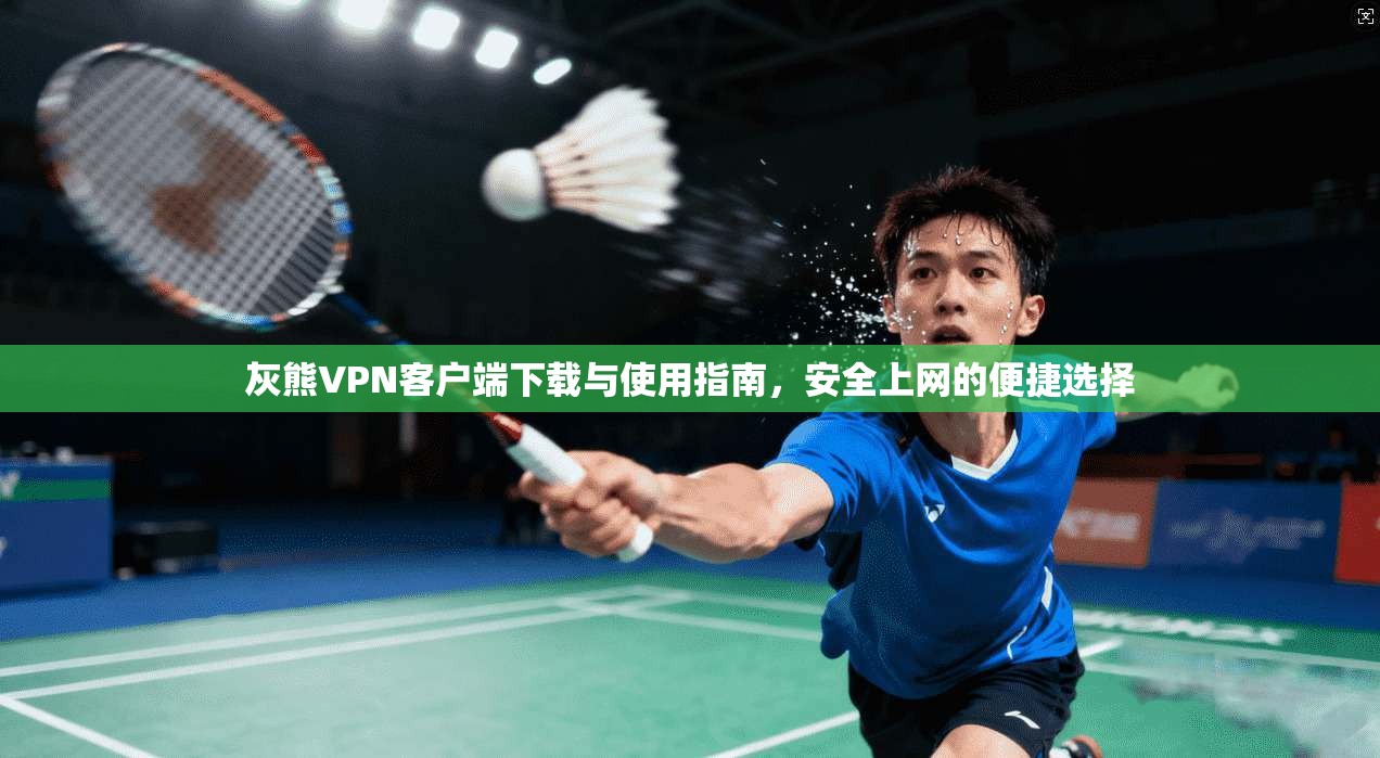 灰熊VPN客户端下载与使用指南,安全上网的便捷选择