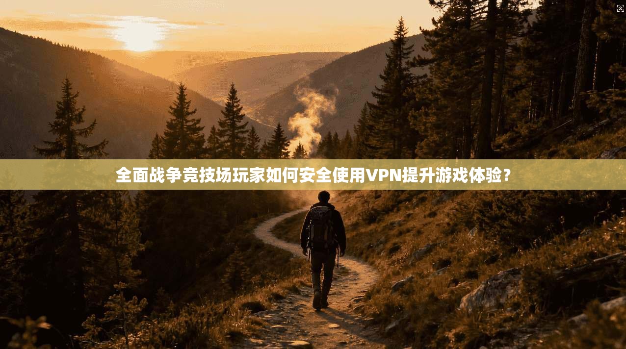 全面战争竞技场玩家如何安全使用VPN提升游戏体验?