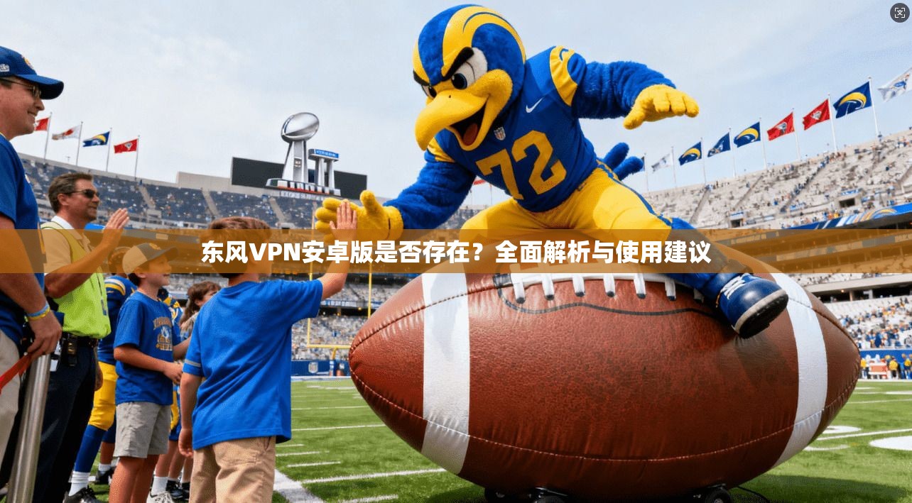 东风VPN安卓版是否存在？全面解析与使用建议