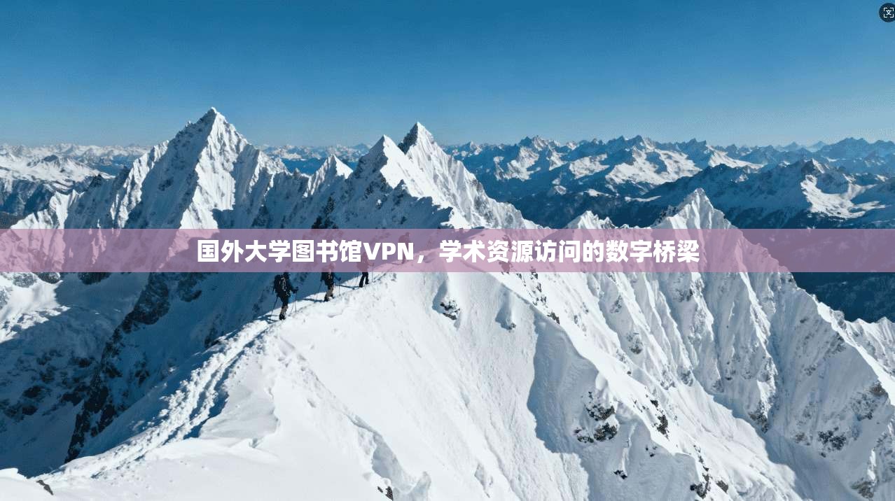 国外大学图书馆VPN,学术资源访问的数字桥梁
