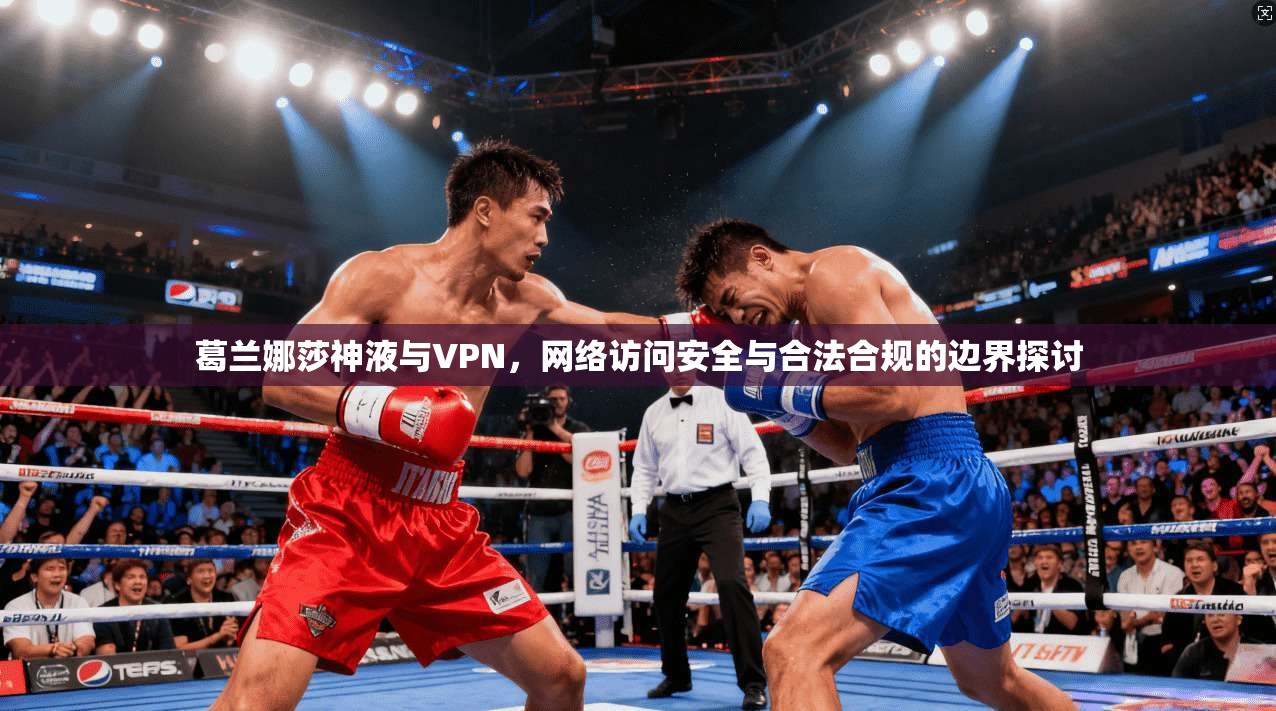 葛兰娜莎神液与VPN,网络访问安全与合法合规的边界探讨
