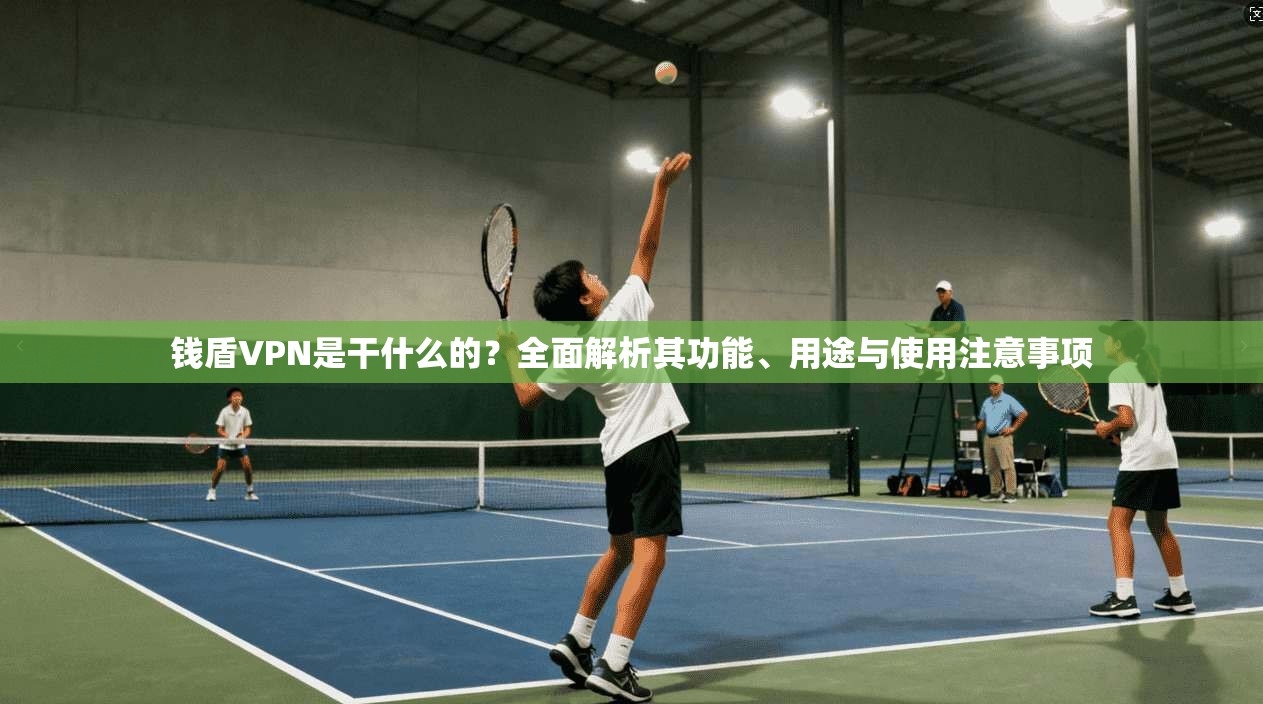 钱盾VPN是干什么的?全面解析其功能、用途与使用注意事项
