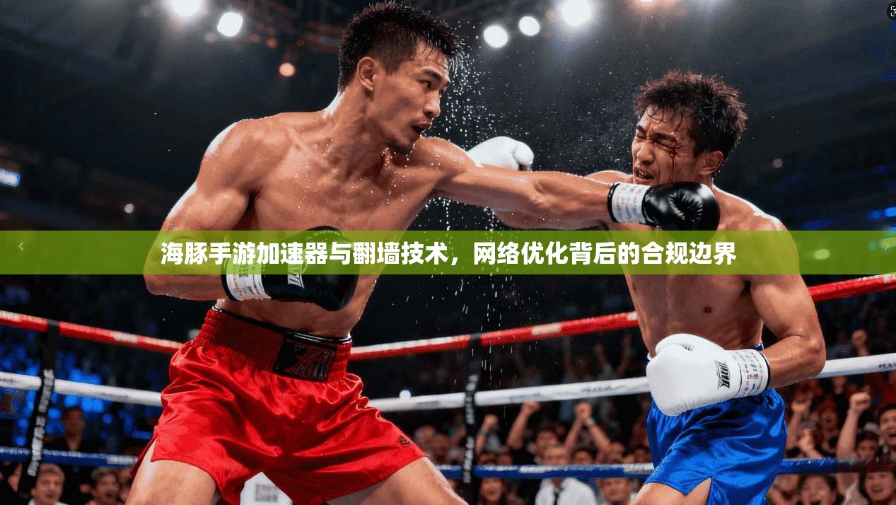 海豚手游加速器与翻墙技术，网络优化背后的合规边界