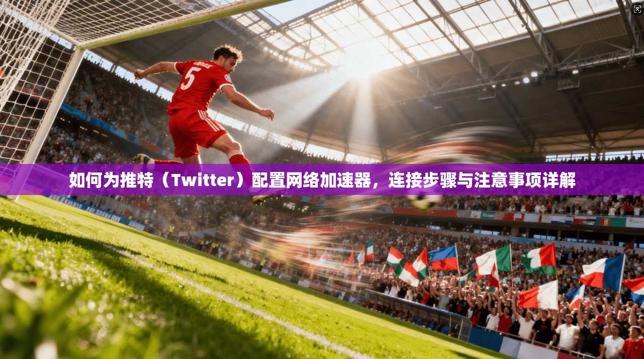 如何为推特（Twitter）配置网络加速器，连接步骤与注意事项详解