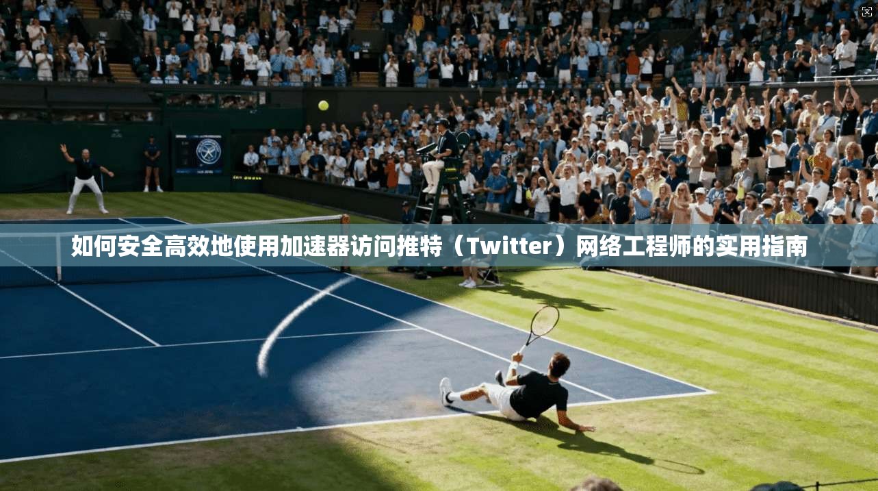如何安全高效地使用加速器访问推特（Twitter）网络工程师的实用指南