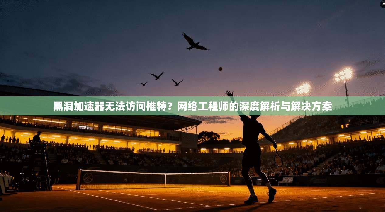 黑洞加速器无法访问推特?网络工程师的深度解析与解决方案