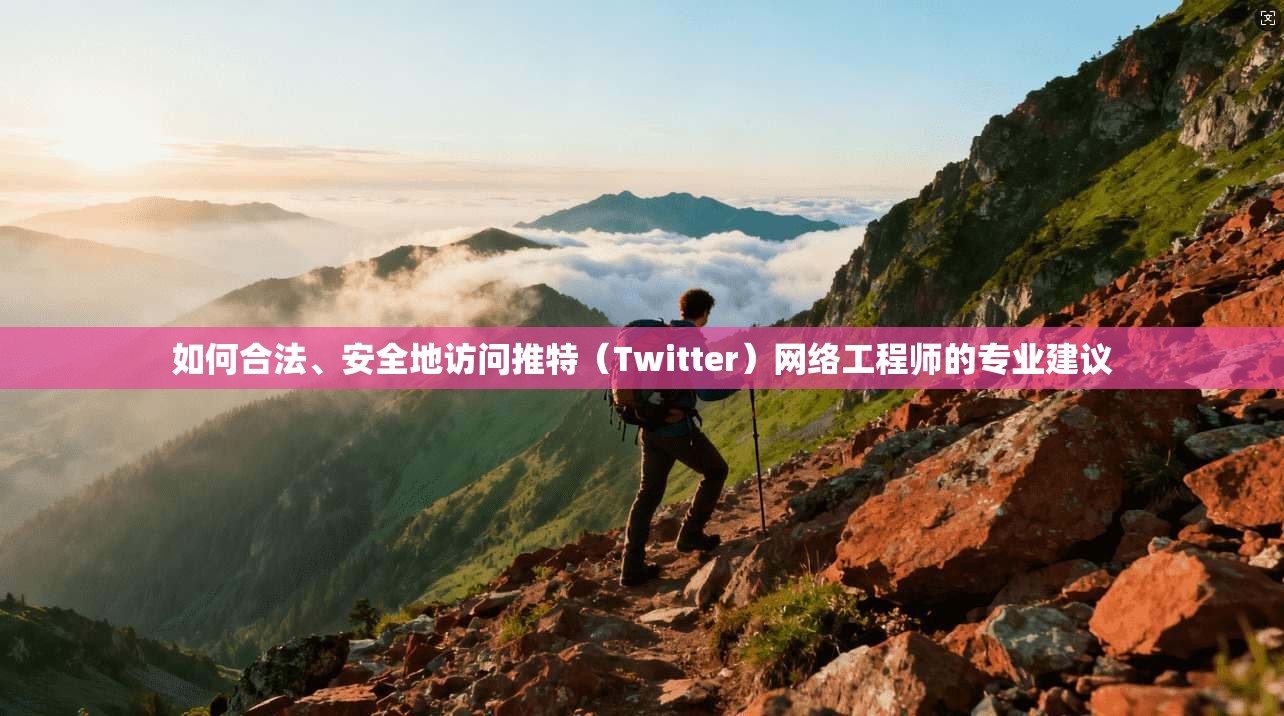 如何合法、安全地访问推特(Twitter)网络工程师的专业建议