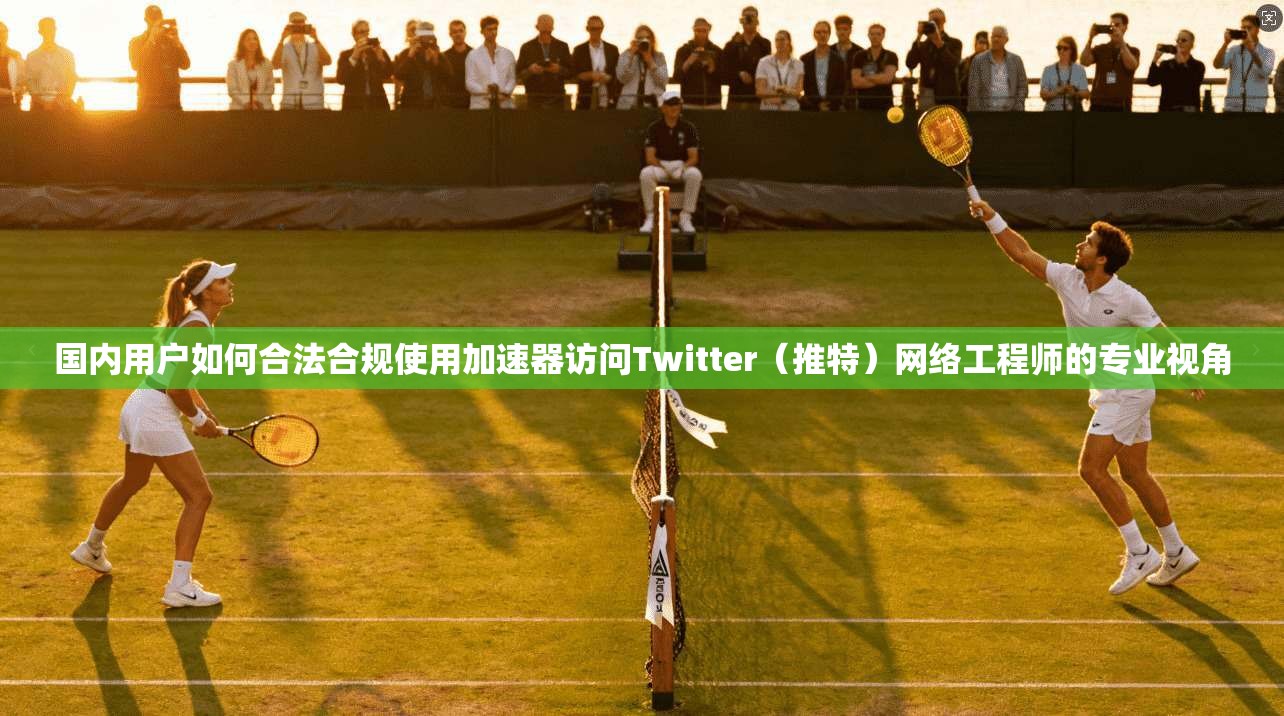 国内用户如何合法合规使用加速器访问Twitter(推特)网络工程师的专业视角