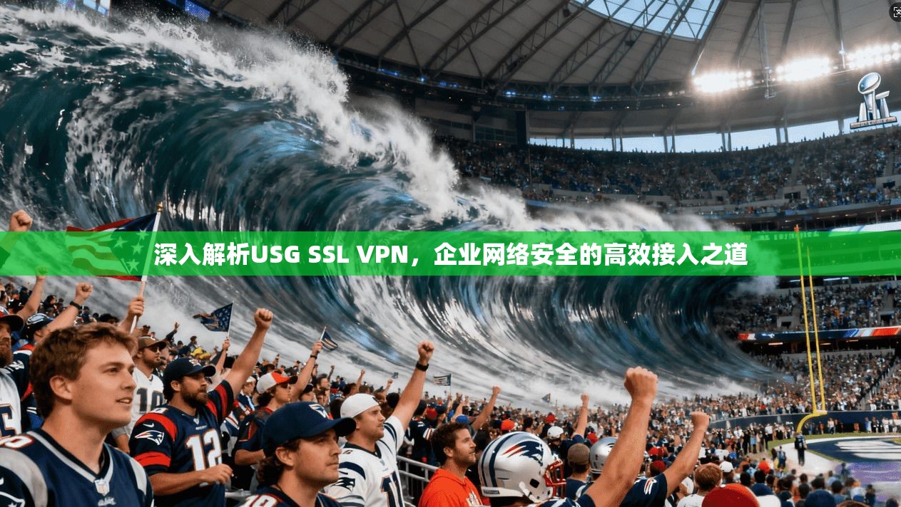 深入解析USG SSL VPN，企业网络安全的高效接入之道