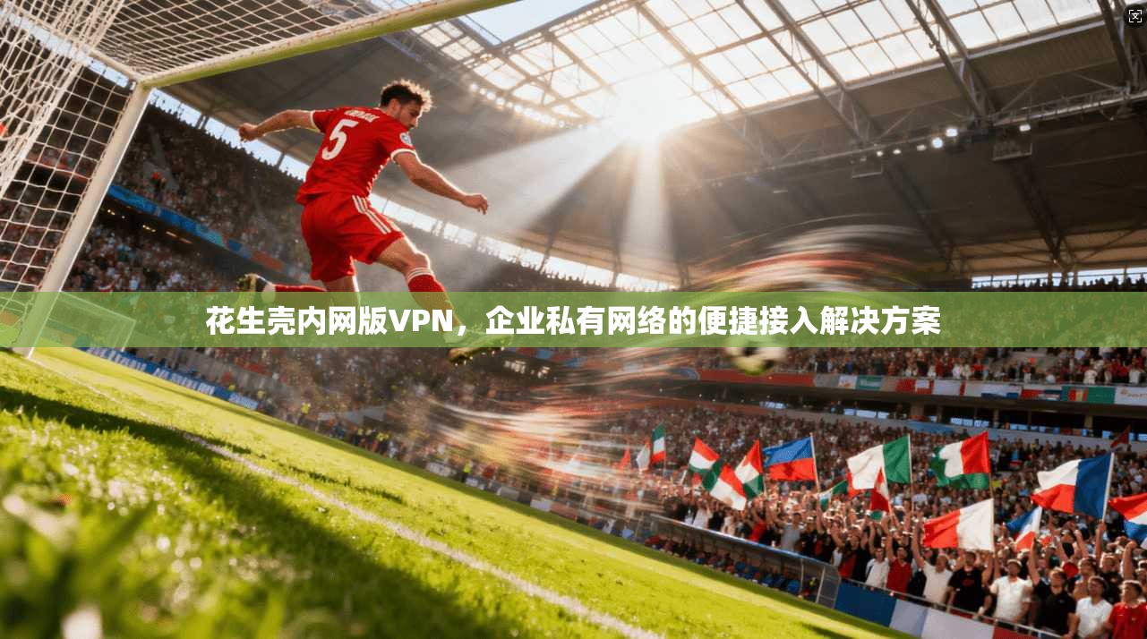 花生壳内网版VPN，企业私有网络的便捷接入解决方案