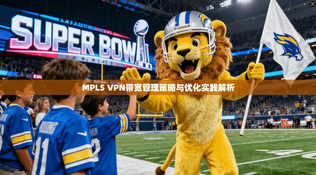 MPLS VPN带宽管理策略与优化实践解析