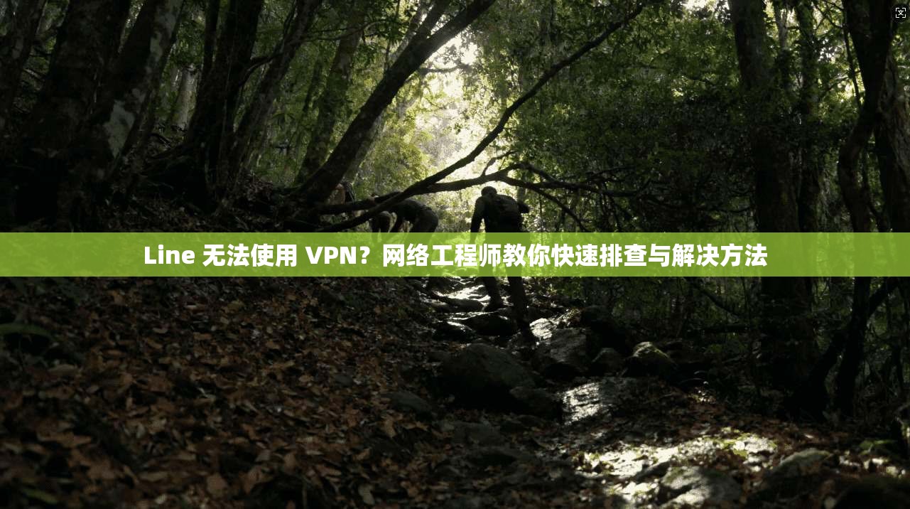 Line 无法使用 VPN?网络工程师教你快速排查与解决方法