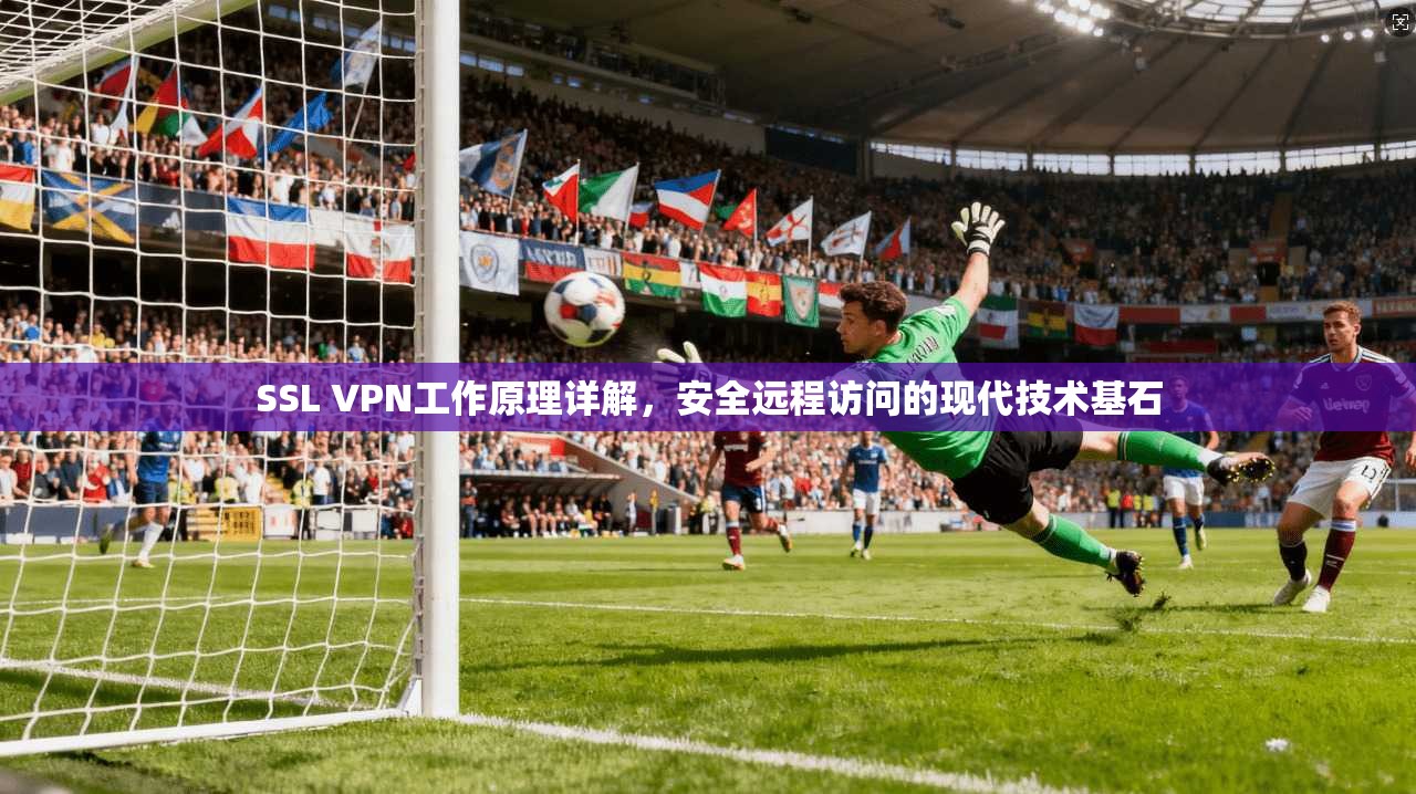 SSL VPN工作原理详解,安全远程访问的现代技术基石