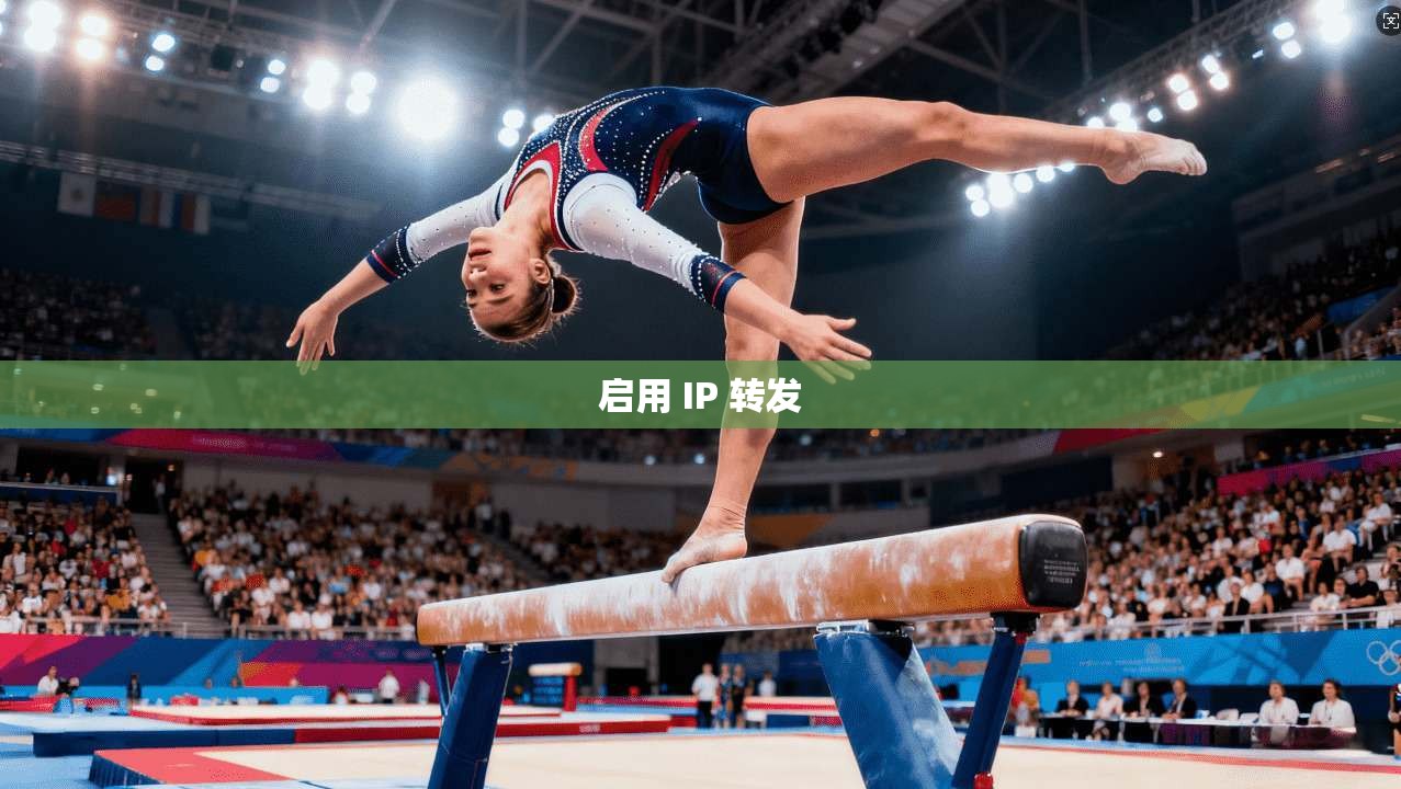 启用 IP 转发