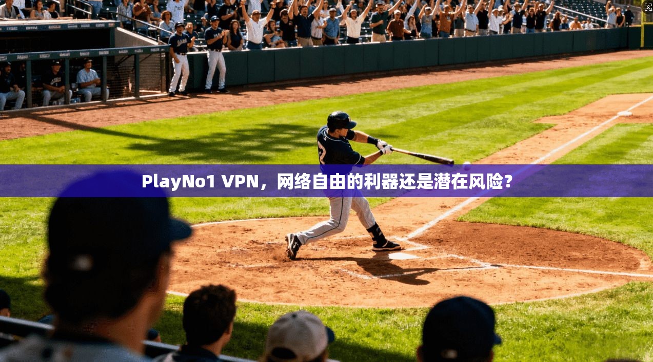 PlayNo1 VPN，网络自由的利器还是潜在风险？