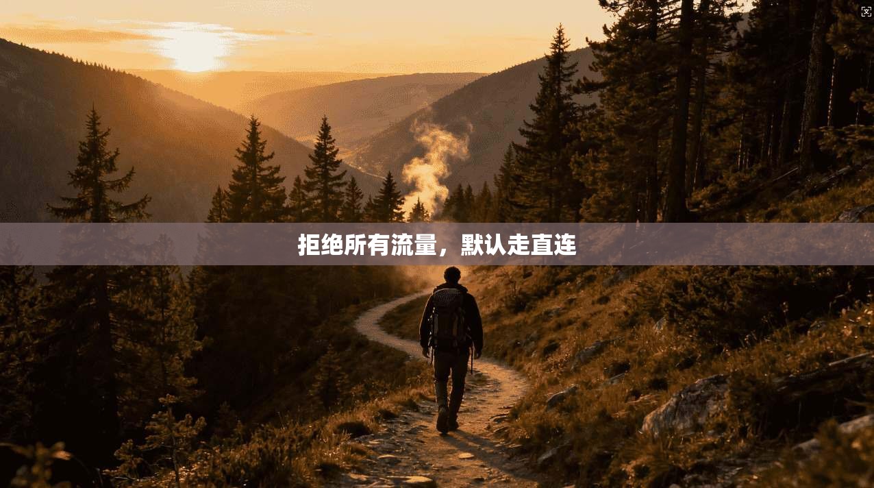 拒绝所有流量，默认走直连