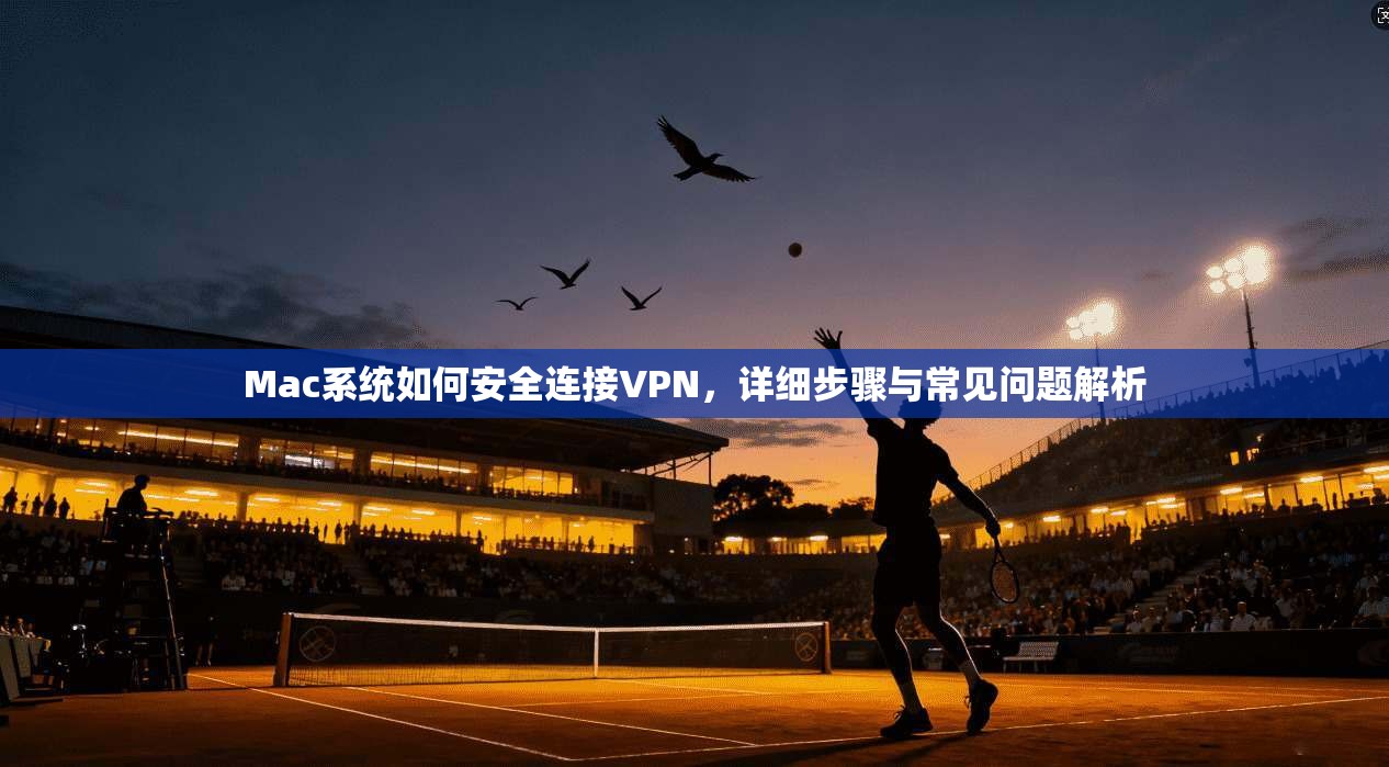 Mac系统如何安全连接VPN,详细步骤与常见问题解析