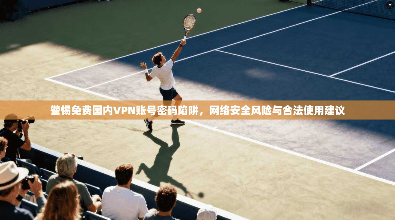 警惕免费国内VPN账号密码陷阱,网络安全风险与合法使用建议